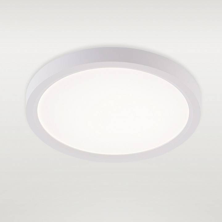 Светильник накладной Natali Kovaltseva Plain LED LAMPS 81113/1C