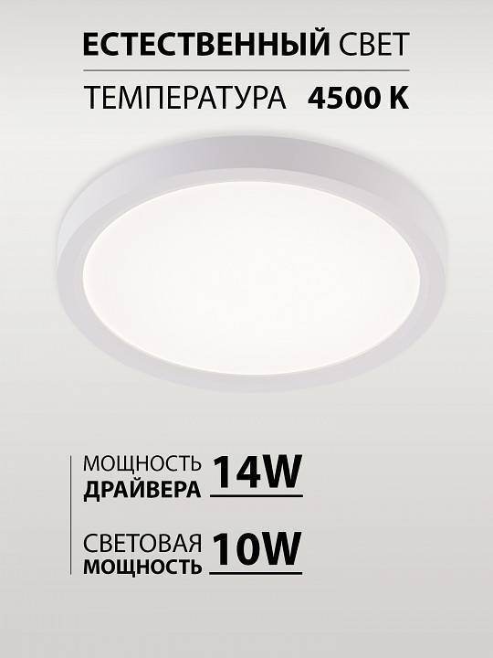 Светильник накладной Natali Kovaltseva Plain LED LAMPS 81113/1C