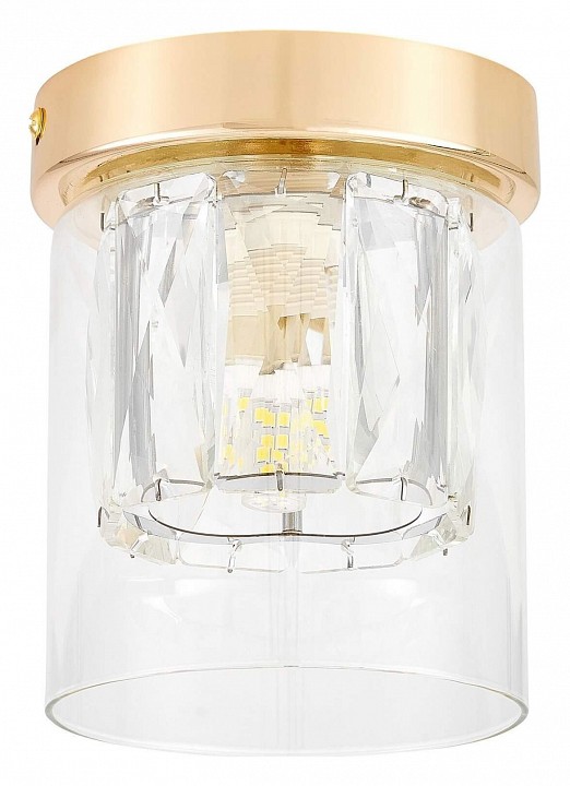 Накладной светильник Lampit DENI TC 2020-1 FGD