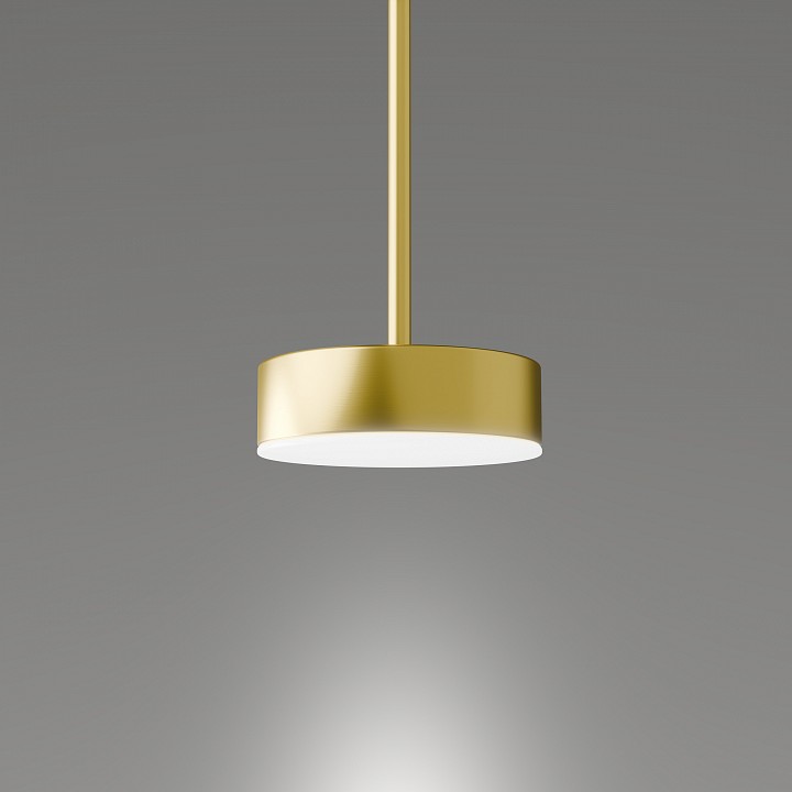 Подвесной светильник LIGHTERA Taylor LE242L-1G