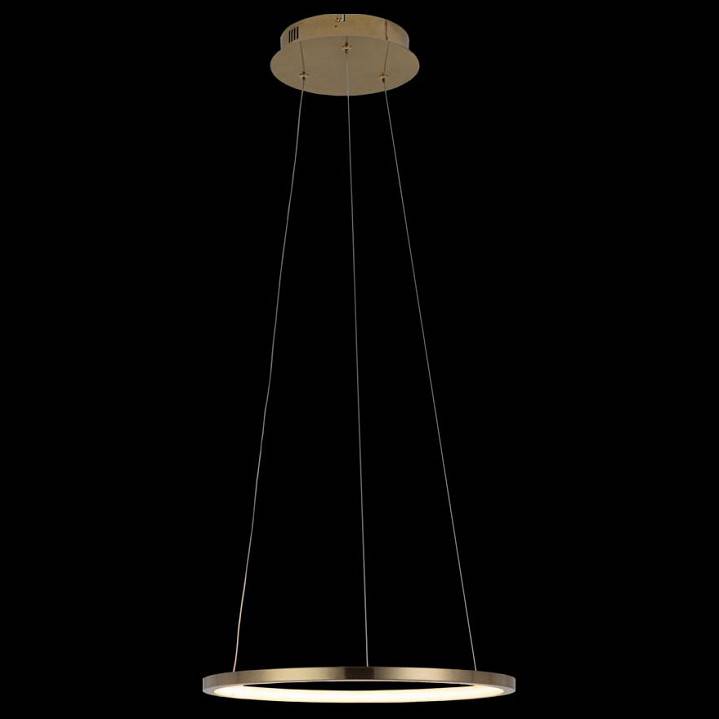 Подвесной светильник Loft It Ring 10014S