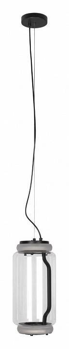 Подвесной светильник Loft it Noctambule 10194/S