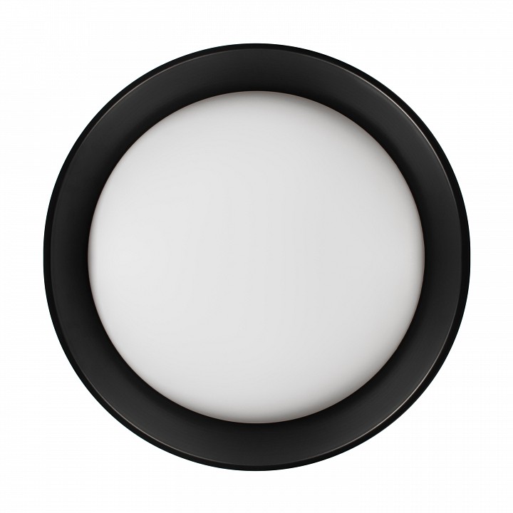 Накладной светильник Loft it Coin 10202 BB