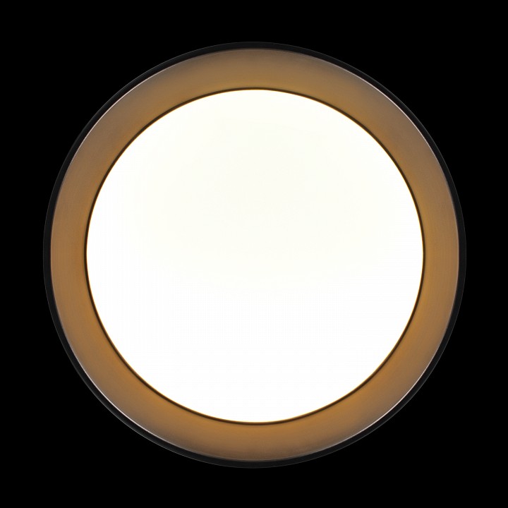 Накладной светильник Loft it Coin 10202 BB