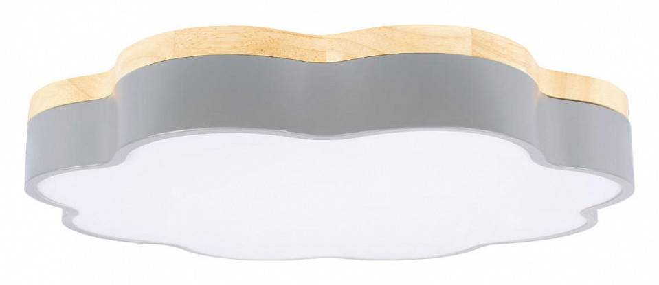 Накладной светильник Loft it Axel 10225/36 Grey