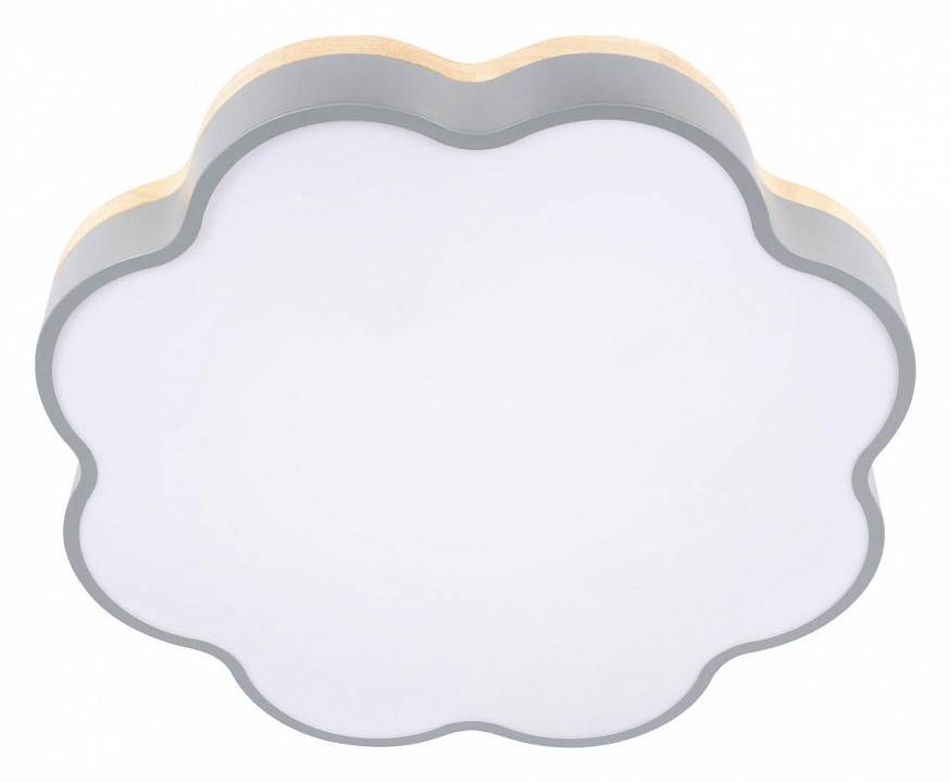 Накладной светильник Loft it Axel 10225/36 Grey