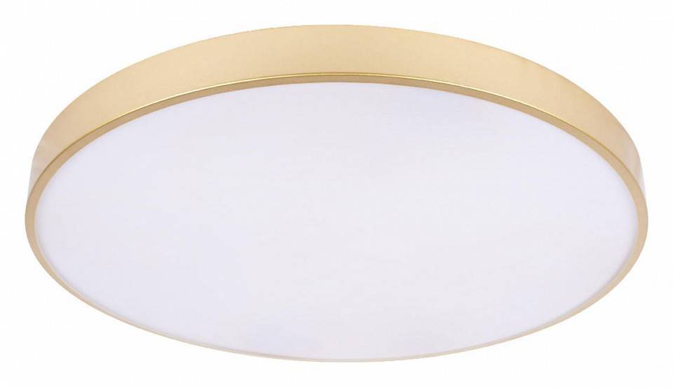 Накладной светильник Loft it Flims 10228/B