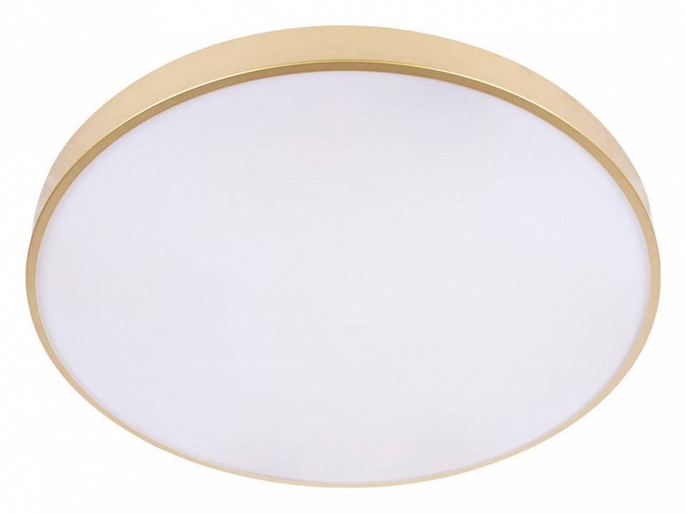 Накладной светильник Loft it Flims 10228/B