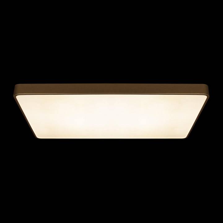 Накладной светильник Loft it Flims 10228/E