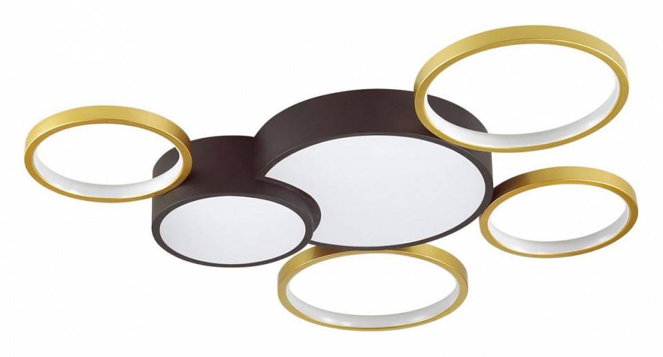 Потолочная светодиодная люстра Lumion Norbert 5255/99CL