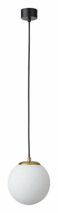 Подвесной светильник Lumion Dexter 1xE27 6500/1