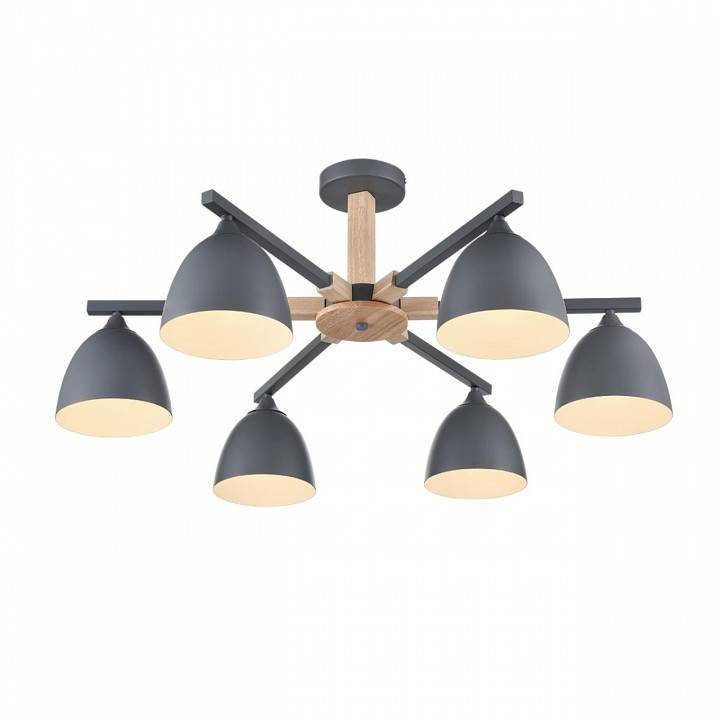 Люстра на штанге Lumion Colange 8096/6C