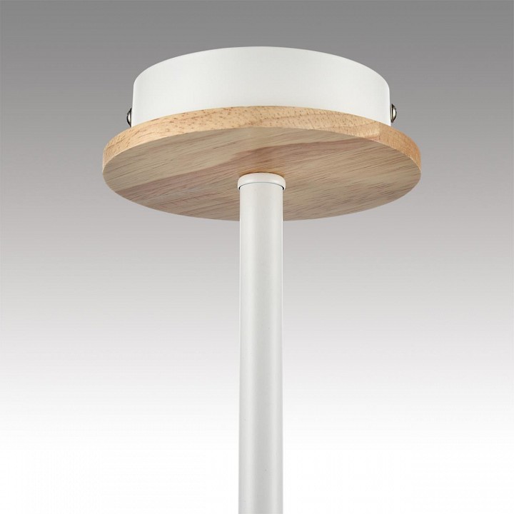 Люстра на штанге Lumion IRMA 8246/3C