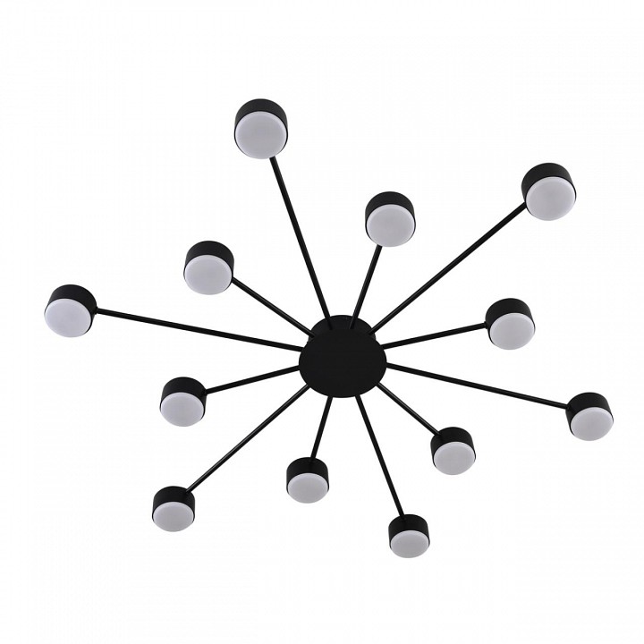 Потолочная люстра Lumion TORINA 8344/12C