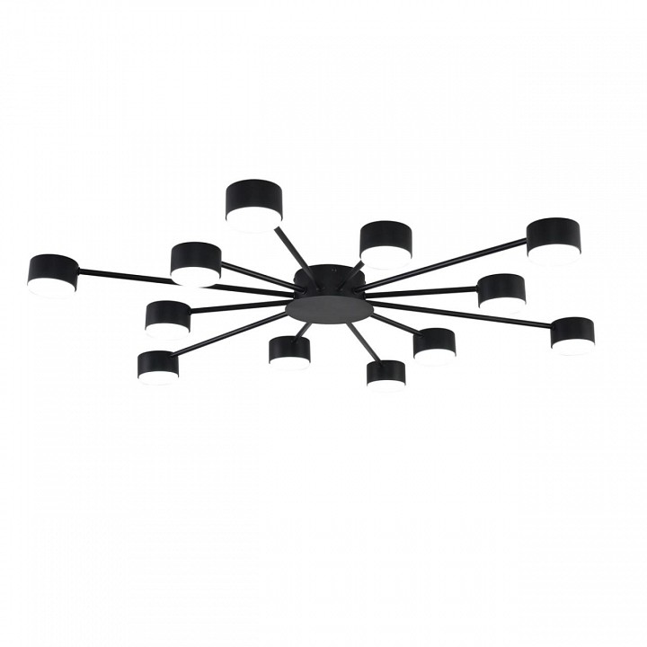 Потолочная люстра Lumion TORINA 8344/12C