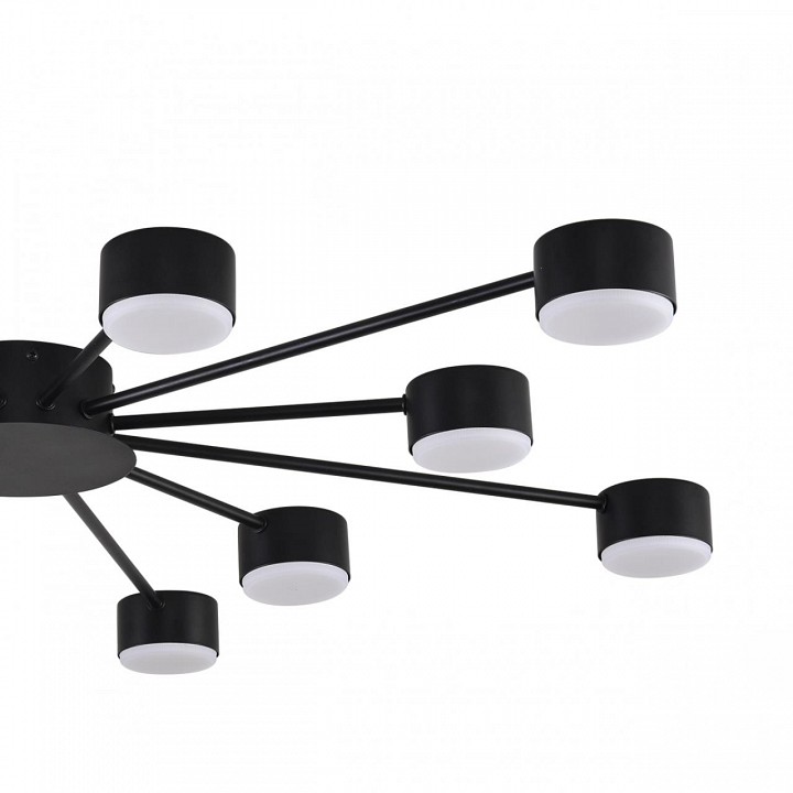 Потолочная люстра Lumion TORINA 8344/12C