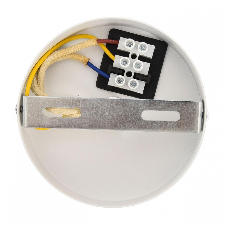 Подвесной светильник Lumion ECO 8368/1B