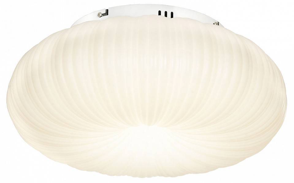 Накладной светильник Lussole Claudia LSP-0921