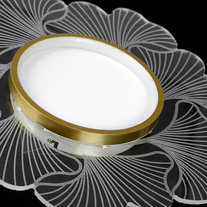 Накладной светильник Lussole Benton LSP-7340