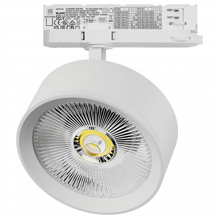 Светильник на штанге Lightstar Alta Pro A5746QT