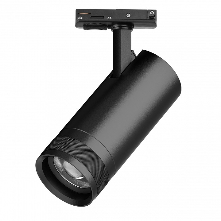 Светильник на штанге Lightstar Canno Pro C4207SS