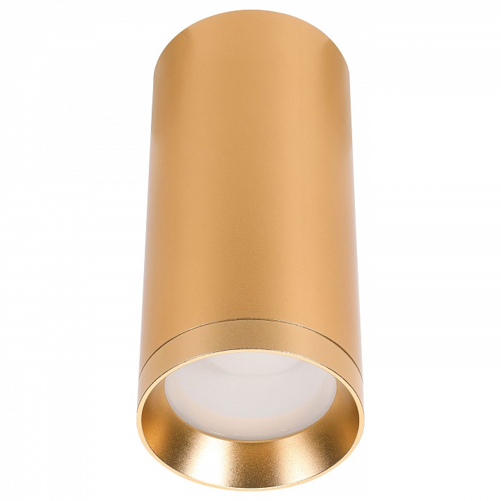 Накладной светильник Lucia Tucci LTP LTP-C005-01GU10-G