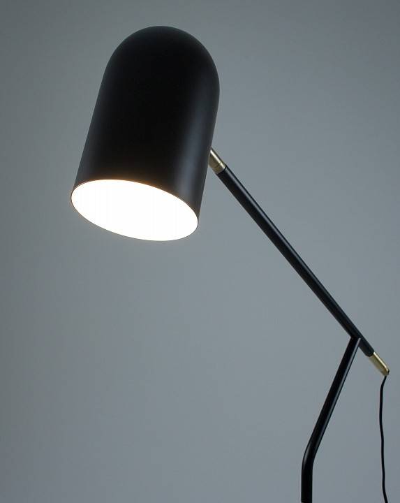 Торшер Moderli Flex V10995-F