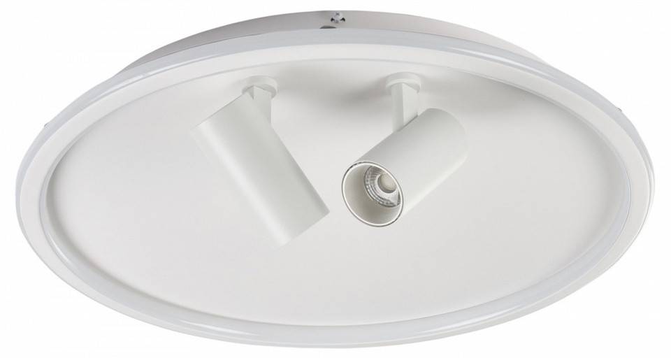 Накладной светильник MyFar Focus MR9050-CL