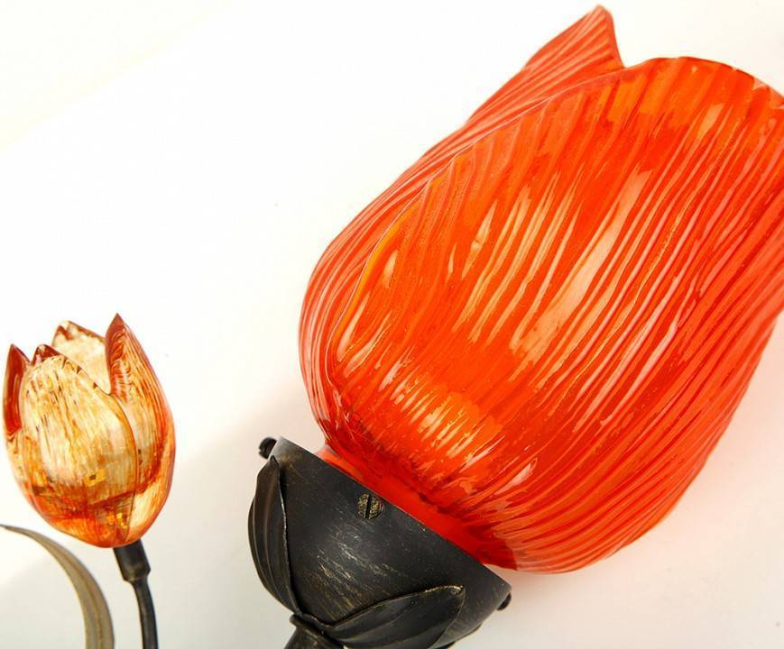 Бра MM Lampadari 6755 6755/A1 V0889