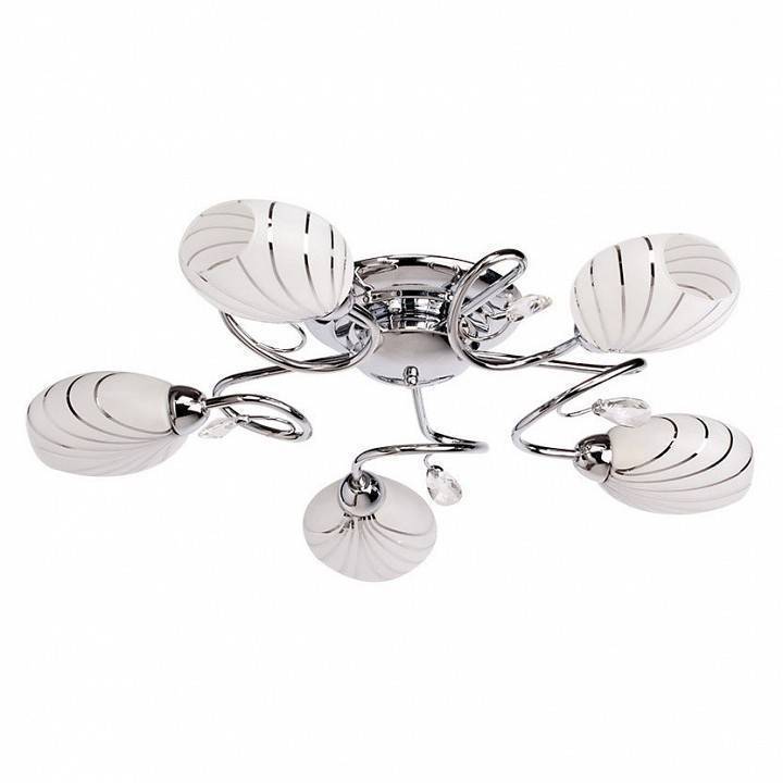 Потолочная люстра MW-Light Фиеста 8 5 ламп 267011705