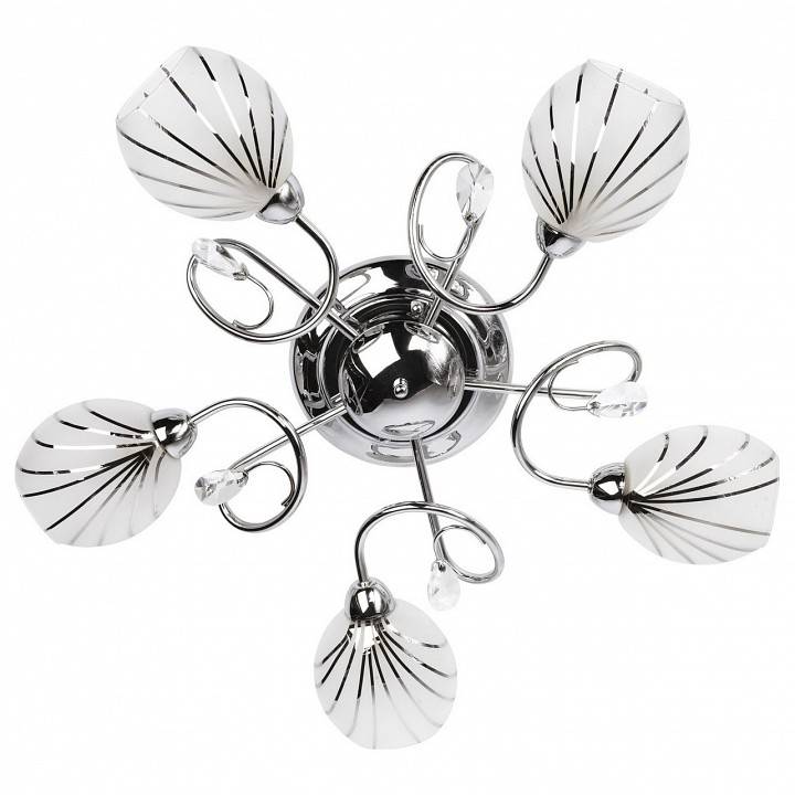 Потолочная люстра MW-Light Фиеста 8 5 ламп 267011705