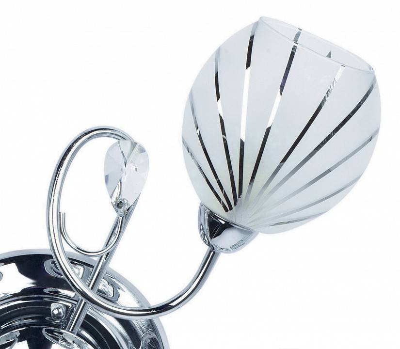 Потолочная люстра MW-Light Фиеста 8 5 ламп 267011705