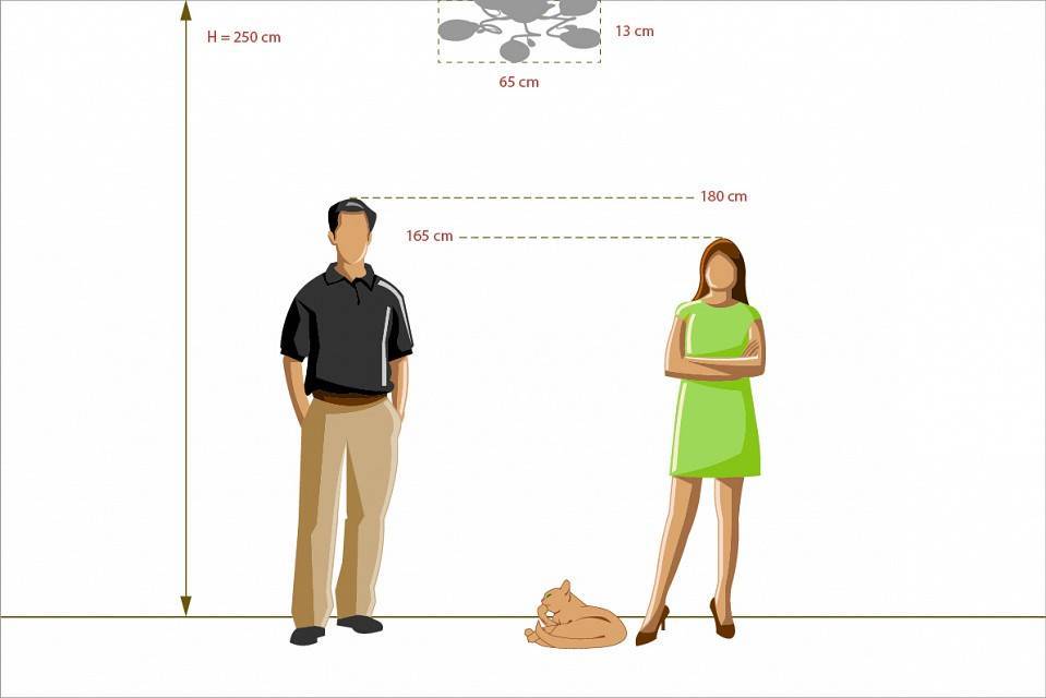 Потолочная люстра MW-Light Фиеста 8 5 ламп 267011705