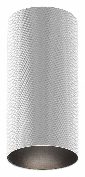 Накладной светильник Maytoni Artisan C080CL-01-GU10-W