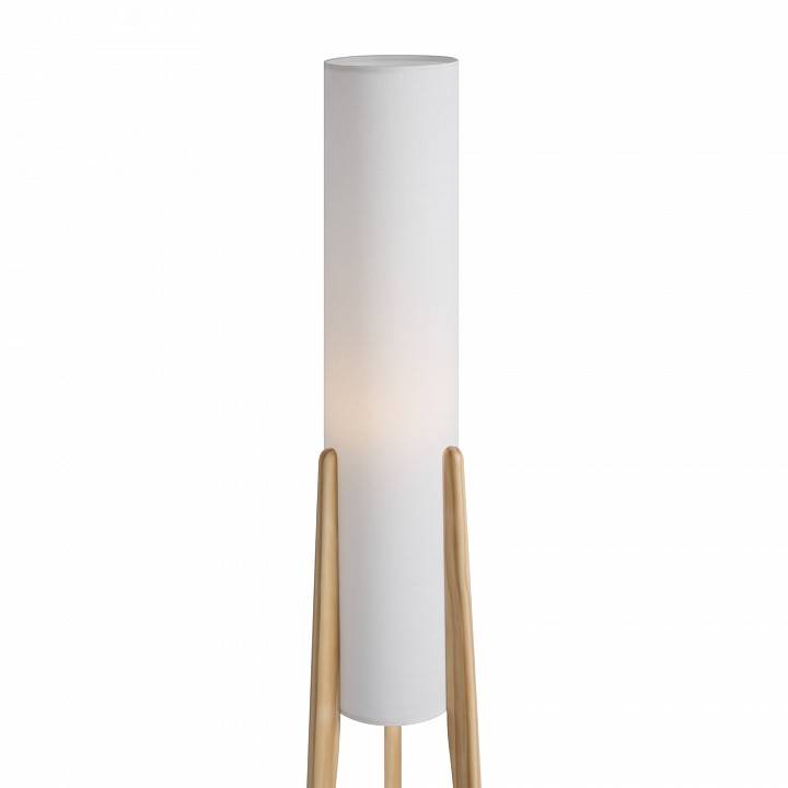 Торшер Freya Bliss FR5543FL-01T