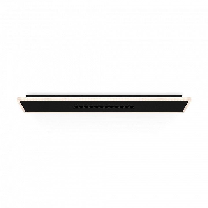 Накладной светильник Freya Shine FR6105CL-L40B