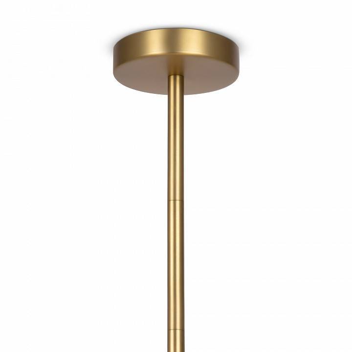 Люстра на штанге Maytoni Tropic MOD164PL-06BS