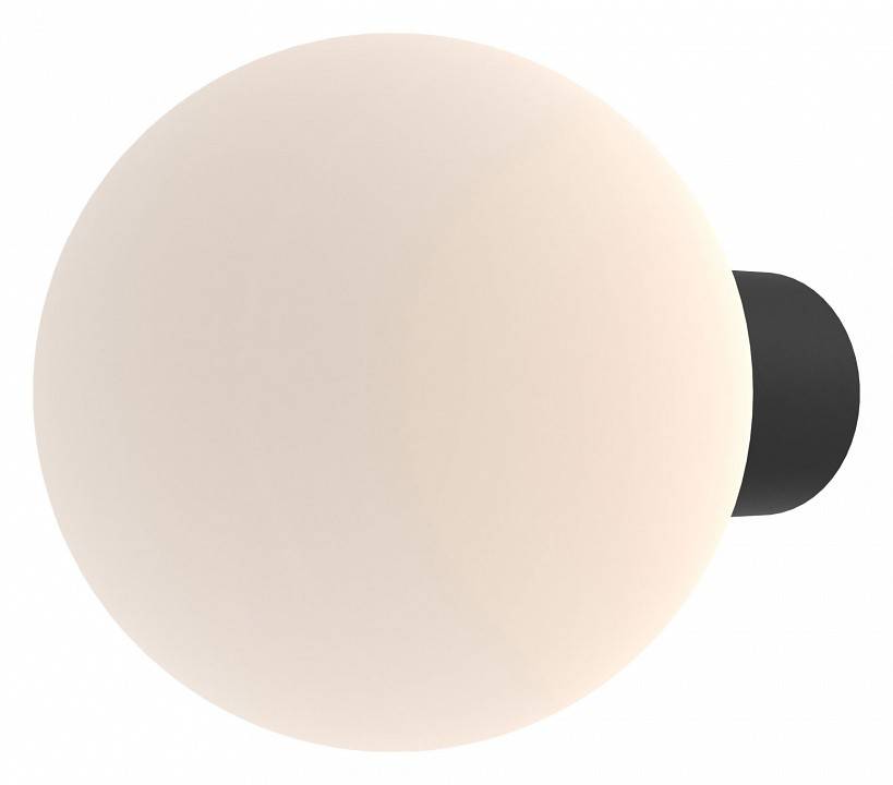 Светильник на штанге Maytoni Bold O598WL-01B1