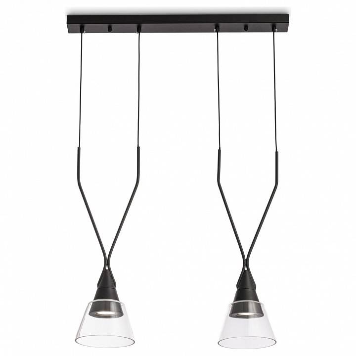 Подвесной светильник Maytoni Hilo 2 лампы P063PL-02B