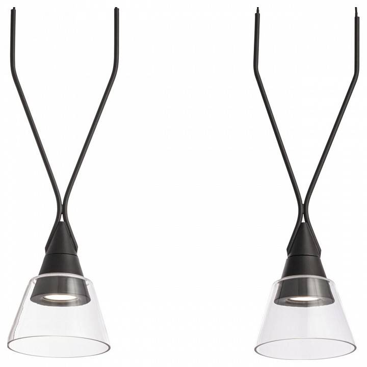 Подвесной светильник Maytoni Hilo 2 лампы P063PL-02B