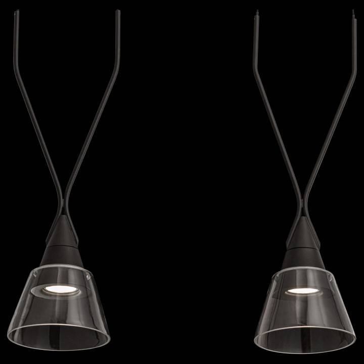 Подвесной светильник Maytoni Hilo 2 лампы P063PL-02B