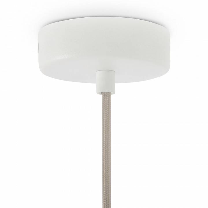 Подвесной светильник Maytoni Bruco 1 лампа P150PL-01BG