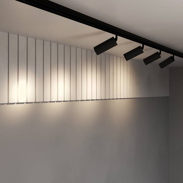 Трековый светодиодный светильник Maytoni Focus LED TR032-2-20W3K-S-B