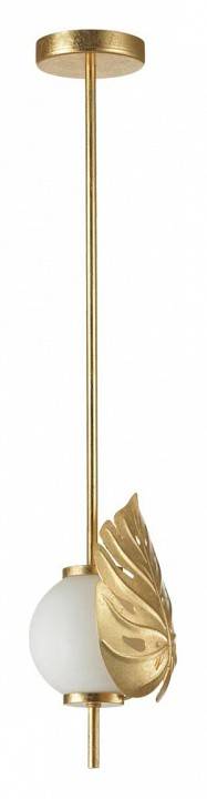 Потолочный светильник Odeon Light Jungle 4864/1A