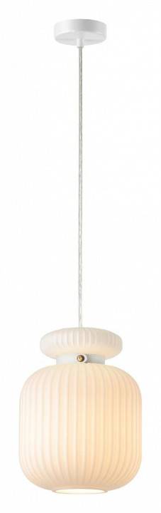 Подвесной светильник Odeon Light Jugi 1xE27 5042/1C