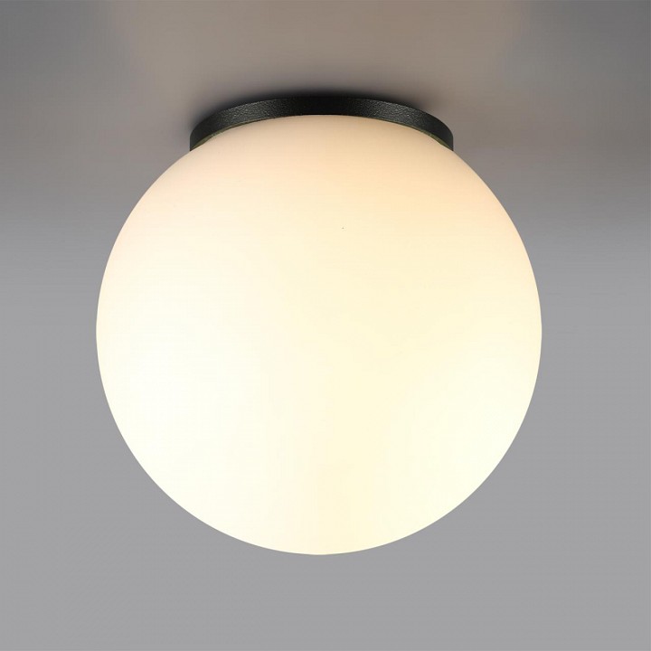 Накладной светильник Odeon Light NATURE 7124/1C
