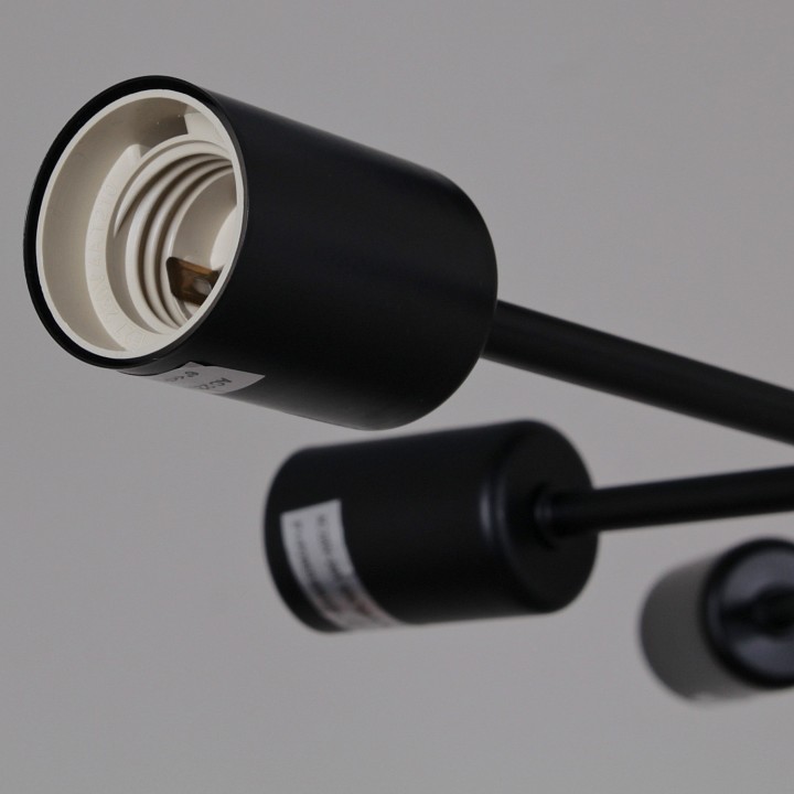 Потолочная люстра 01651-0.3-06 BK