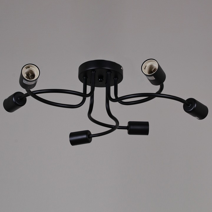 Потолочная люстра 01742-0.3-06 BK