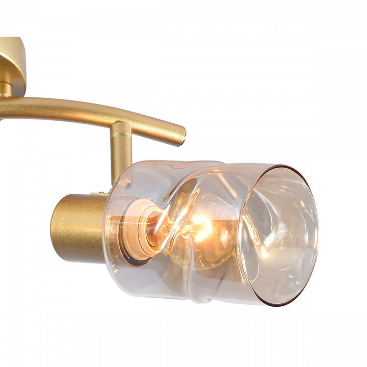 Светильник на штанге Elektrostandard 05963-0.8-02 GOLD