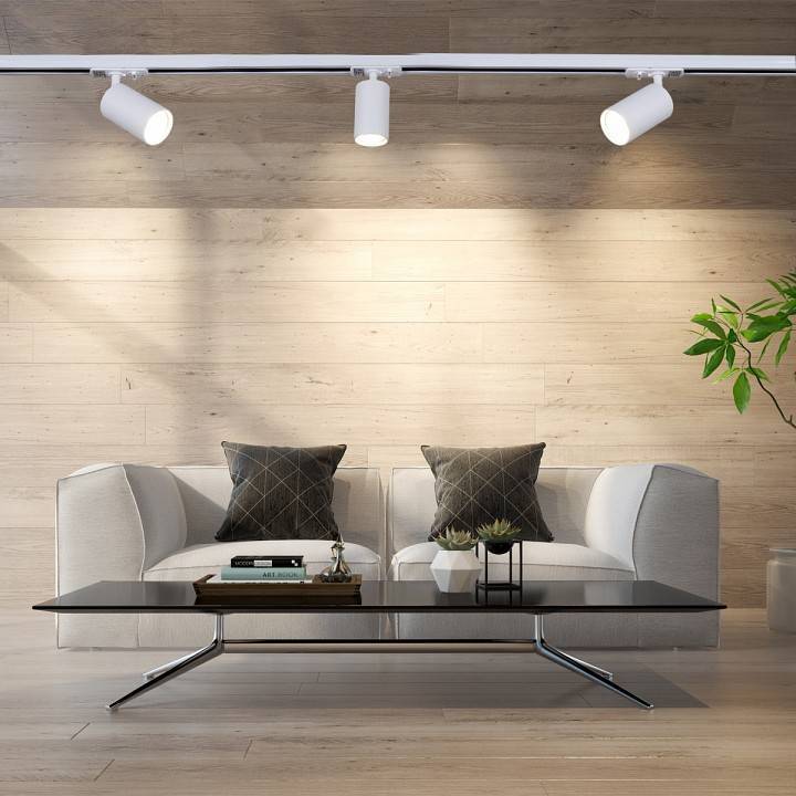 Светильник на штанге Reluce  06311-9.3-001QY GU10 WT